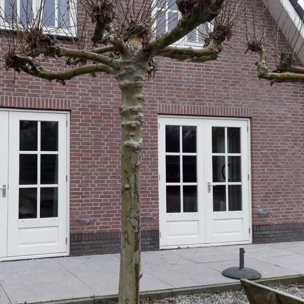 Twee openslaande deuren naar de tuin